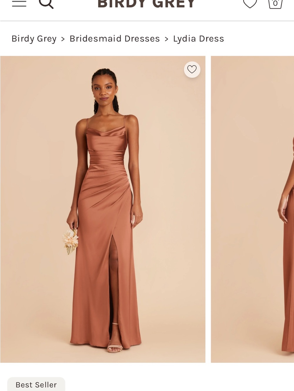 Birdy Grey Lydia Cowl-Neck Maxi Dress in terracotta